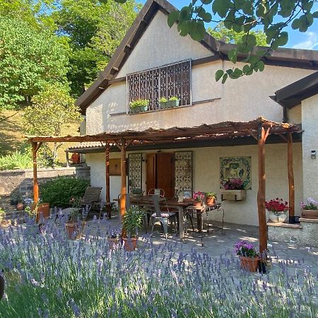La Colombaia Amiata Bed & Breakfast Arcidosso Exterior photo